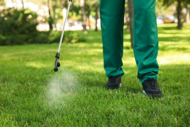 Best Mosquito Control Services  in Englishtown, NJ